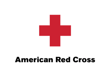 Adult and Pediatric First Aid/CPR/AED
